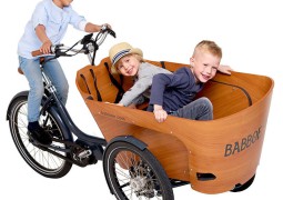 babboe-carve-mountain-bakfiets_1_1_1