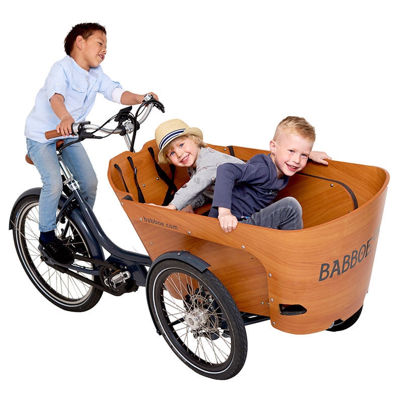 babboe-carve-mountain-bakfiets_1_1_1